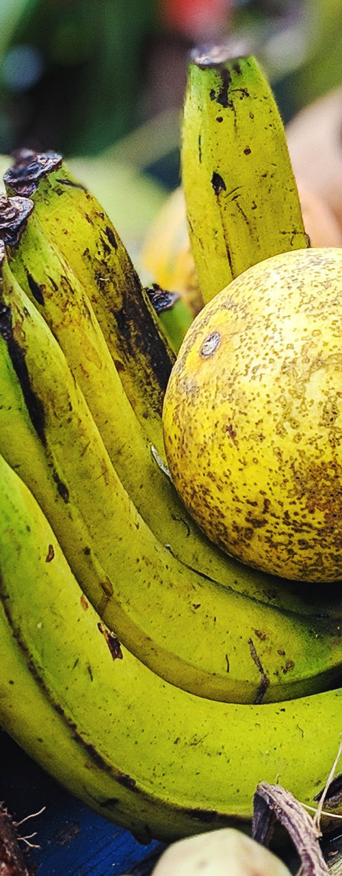 Tropical fruits on rustic wooden table