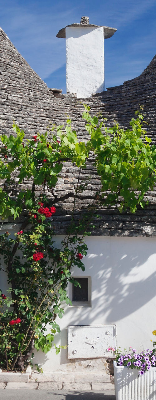 Highlights of Apulia