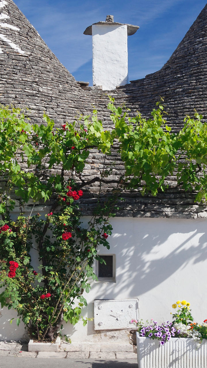 Highlights of Apulia