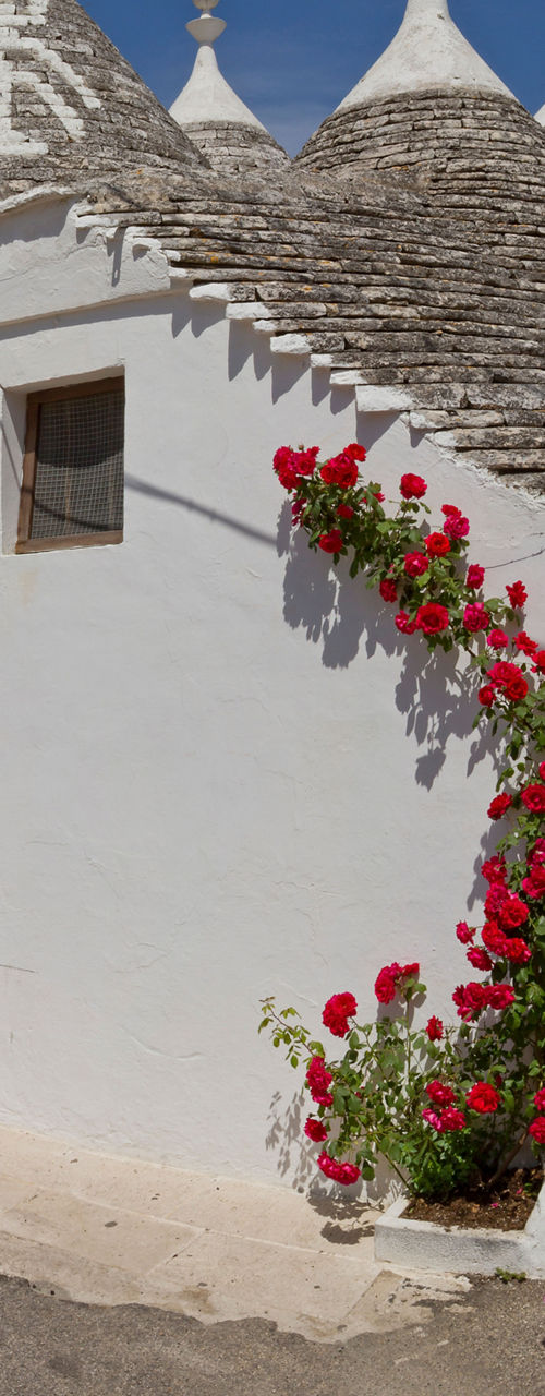 Traditional Trulli Houses in Sunny Italy