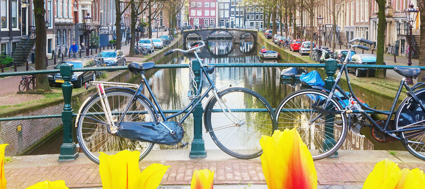 Tulips and bicycles by Amsterdam canal