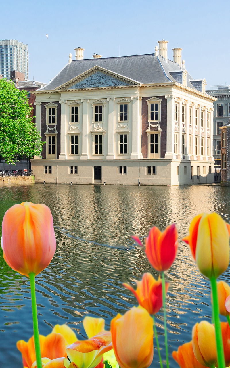 Historic Dutch building with tulips in foreground