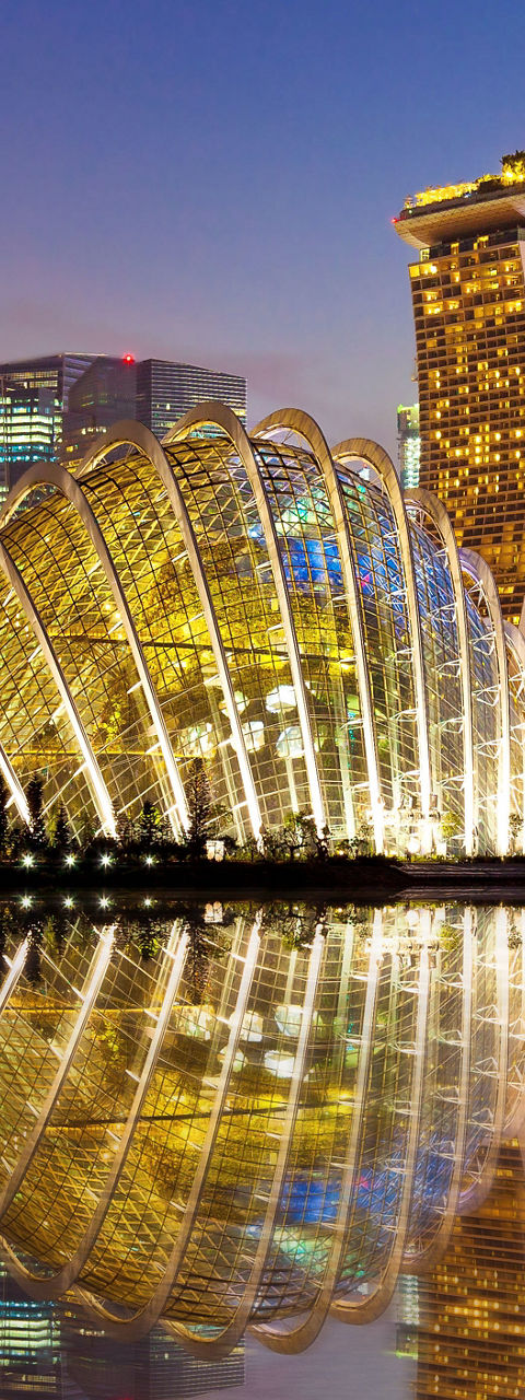 Marina Bay Sands and Gardens by the Bay at dusk