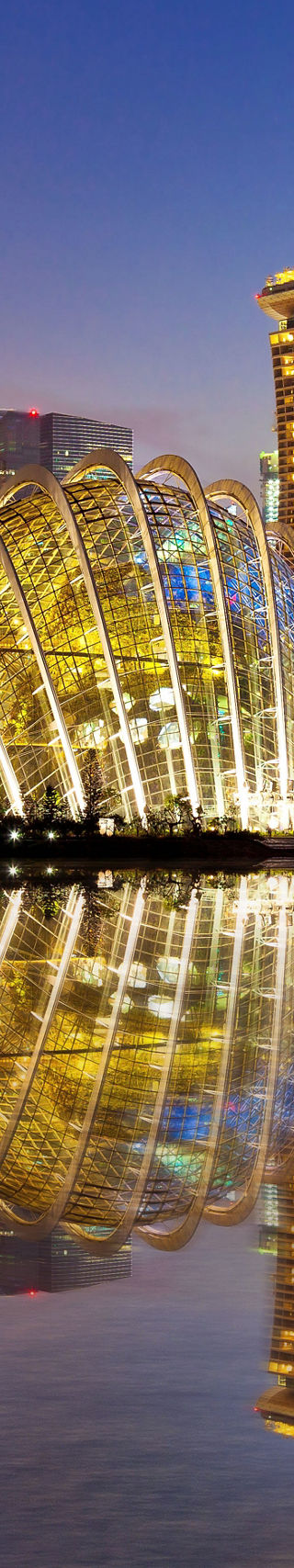Marina Bay Sands and Gardens by the Bay at dusk