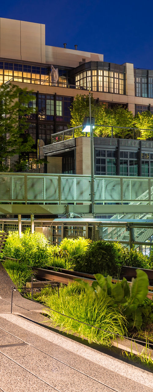 High Line park at night with cityscape