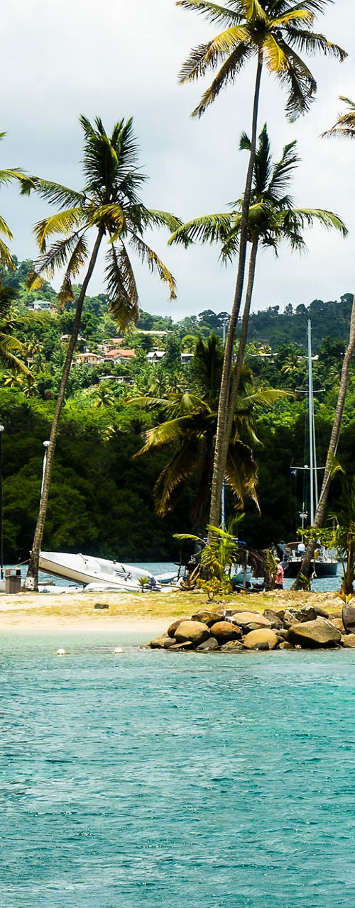 Tropical beach with kayakers and palm trees