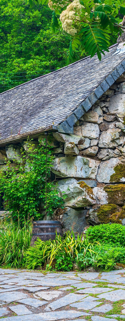 Rustic stone cottage surrounded by lush greenery