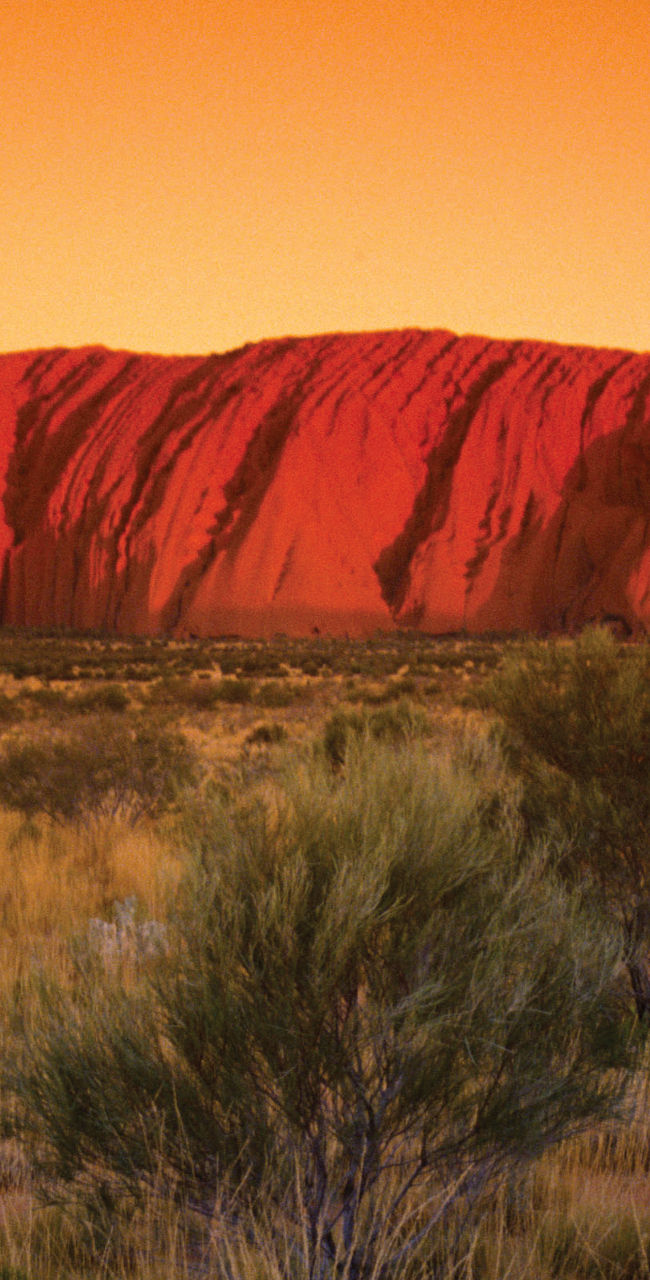 Uluru at sunset with vibrant orange sky