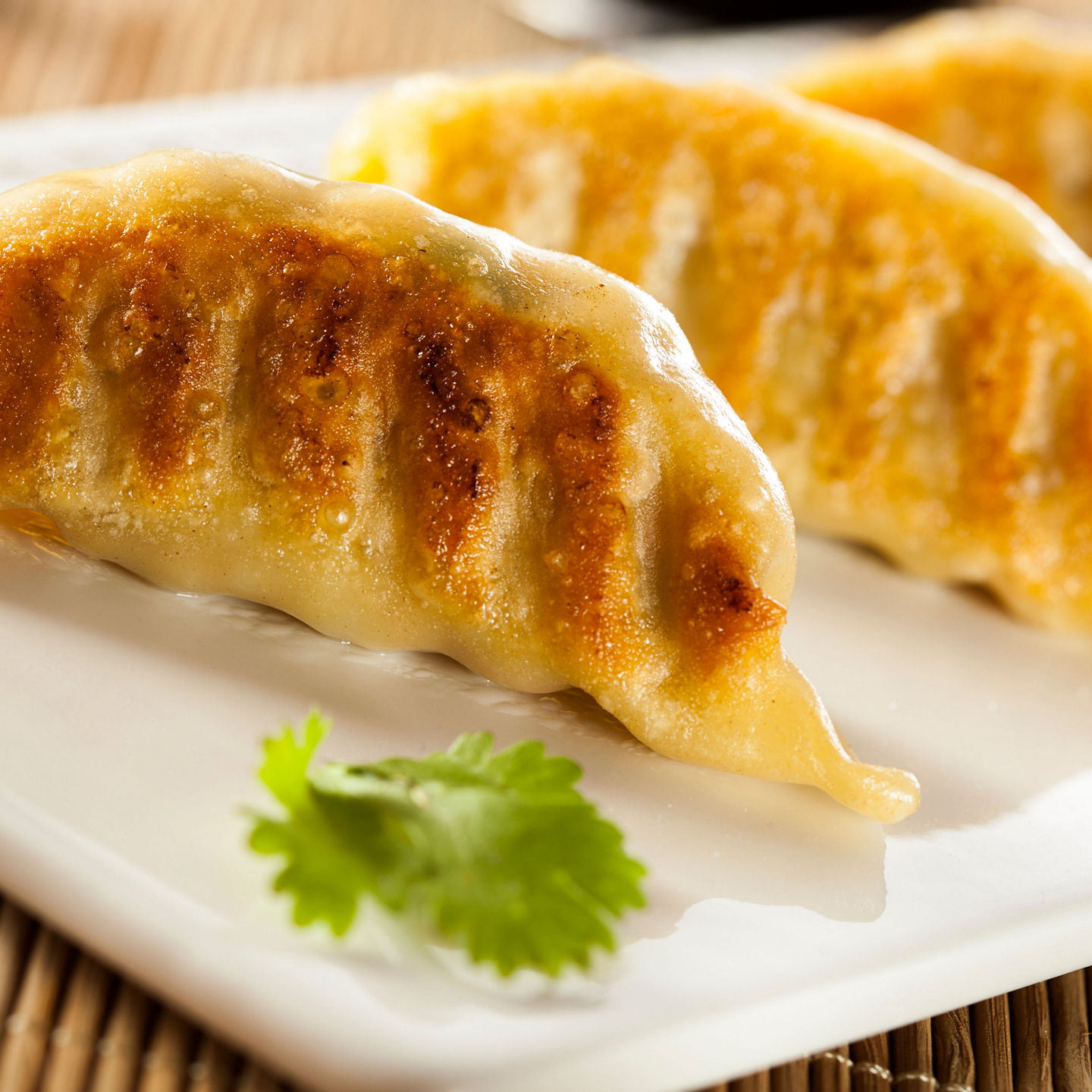 Golden pan-fried dumplings on white plate