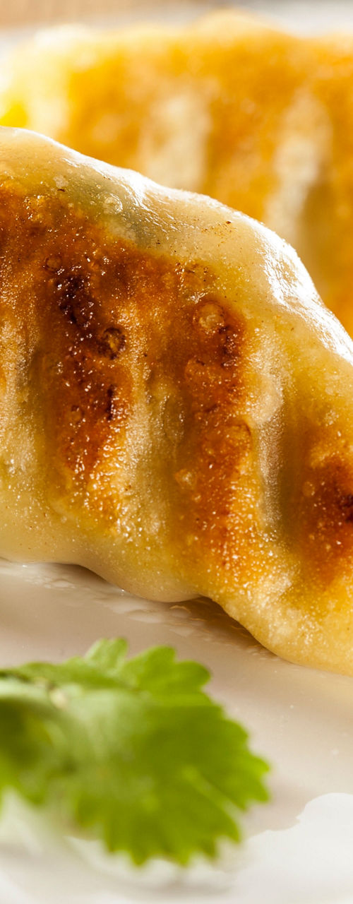 Golden pan-fried dumplings on white plate