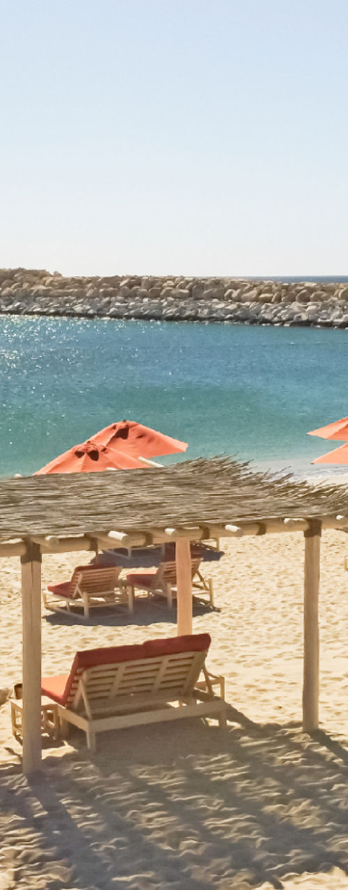 Sunny beach with shaded loungers and umbrellas