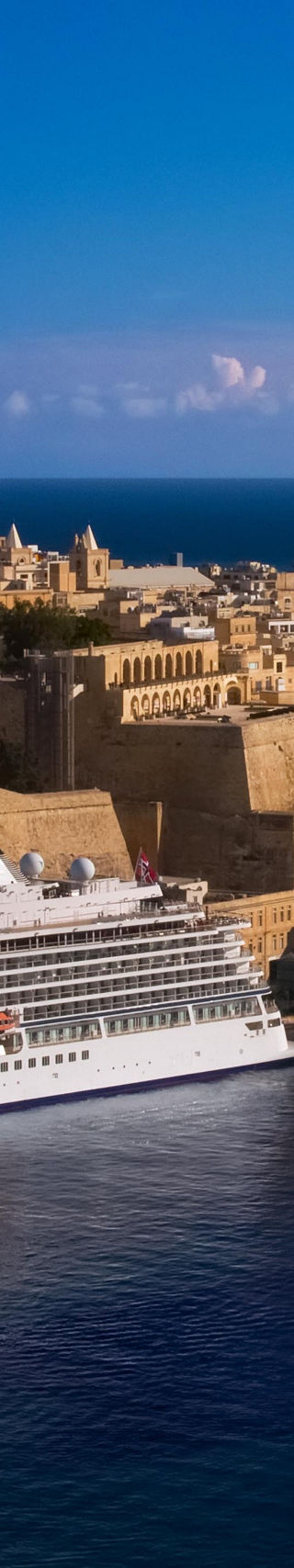 Cruise ships docked near historic cityscape