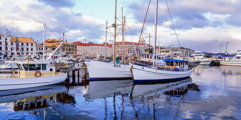 Docked sailboats in scenic harbor setting
