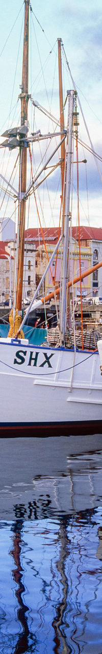 Docked sailboats in scenic harbor setting