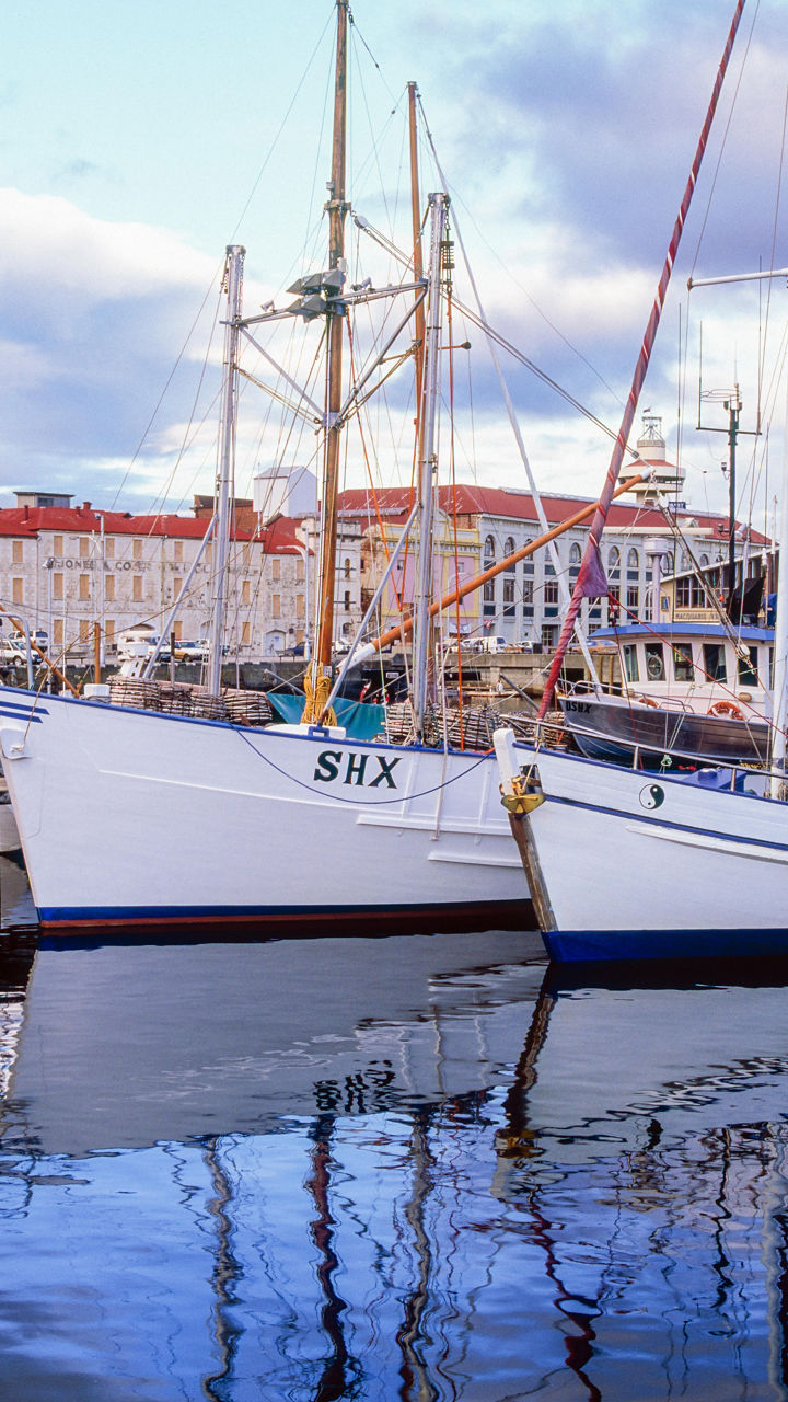 Docked sailboats in scenic harbor setting