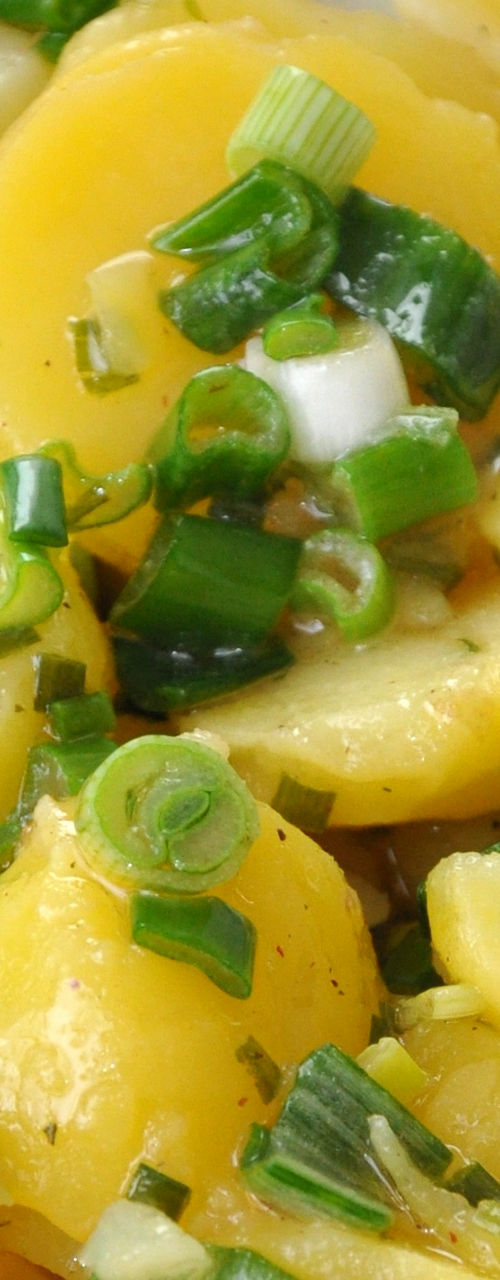 Fresh potato salad with green onions