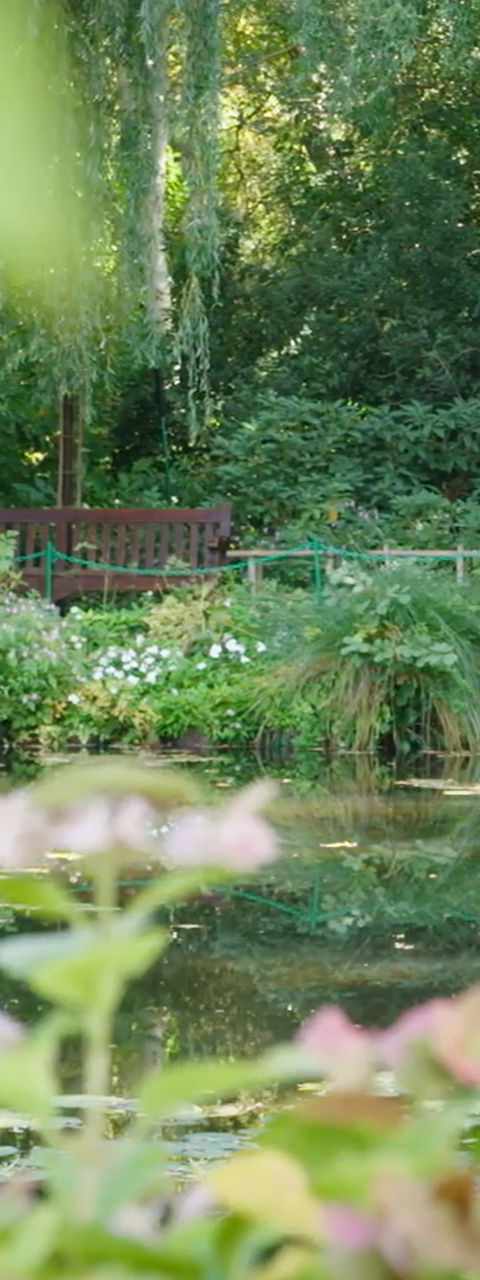 Person on green bridge in lush garden landscape