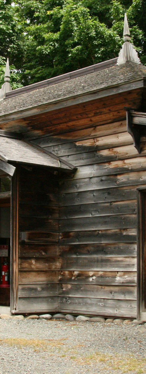 Rustic wooden cabin with sign in forest setting