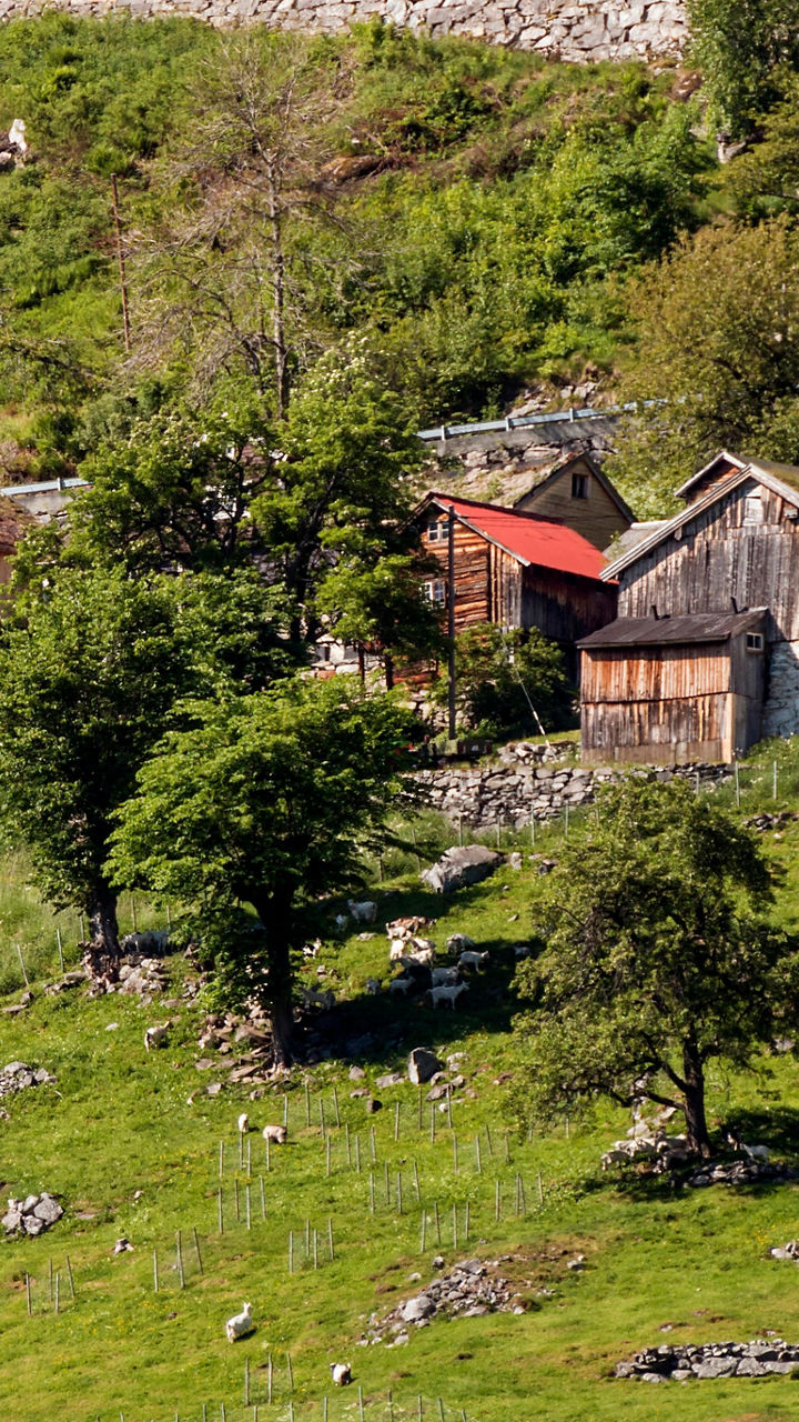 Møllstunet Farm
