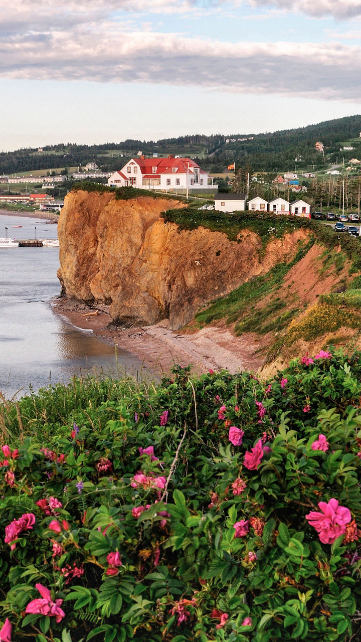 Coastal village with cliffs and flowers