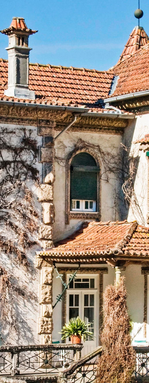 Historic ivy-covered villa with green shutters