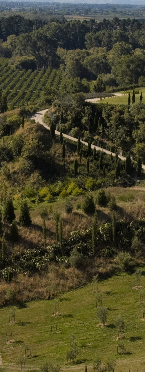 Scenic vineyard estate with rolling hills