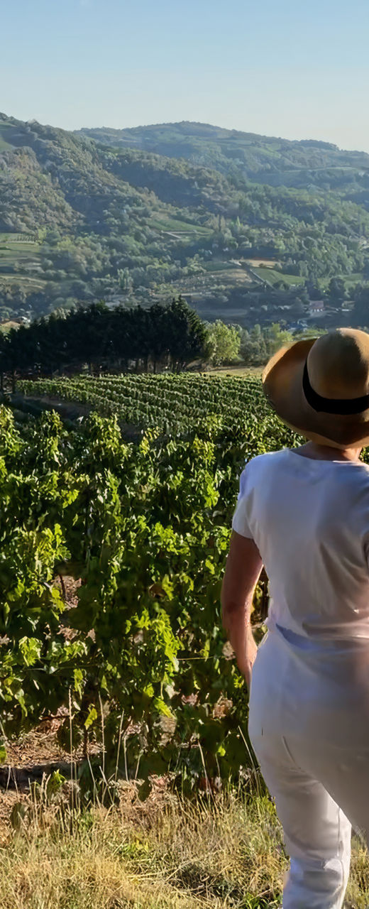 Woman in vineyard overlooking scenic hills
