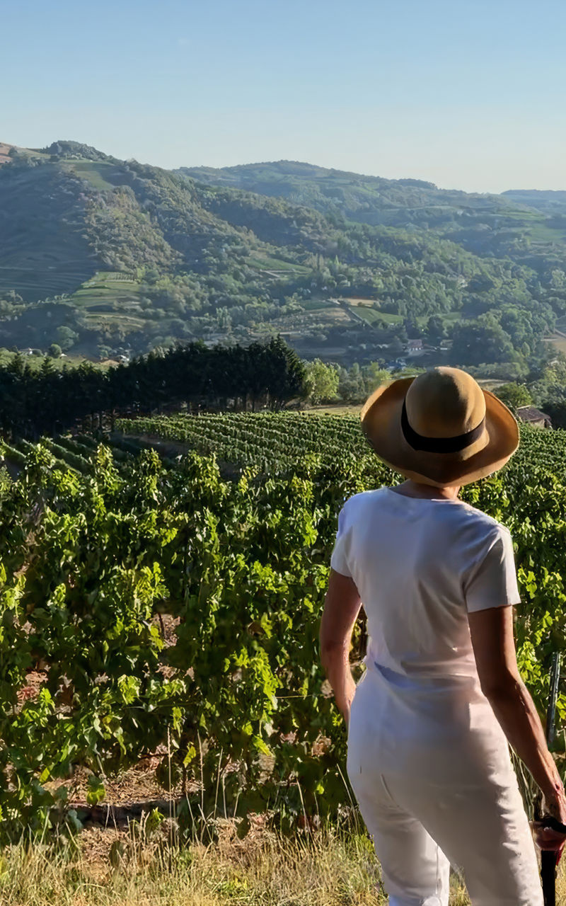 Woman in vineyard overlooking scenic hills