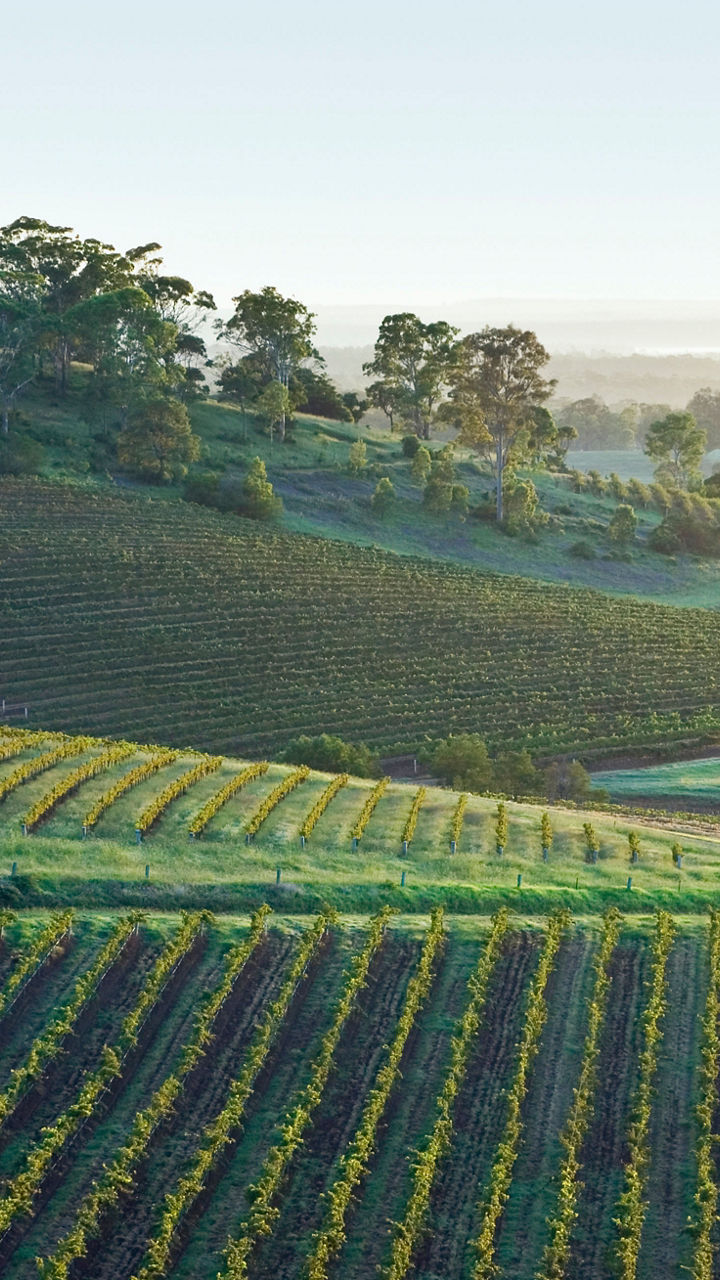 Hunter Valley Winery
