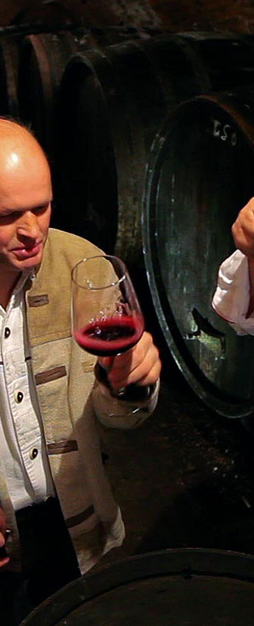 Wine tasting in rustic cellar setting
