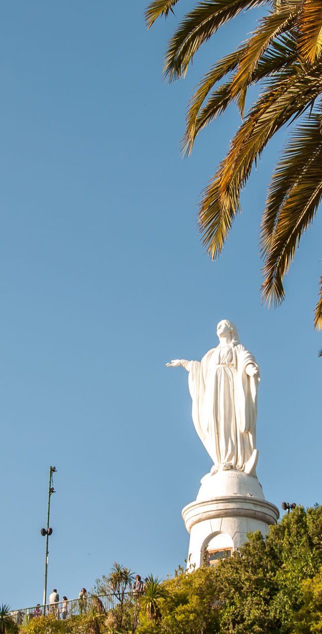 Statue of Christ amidst lush greenery