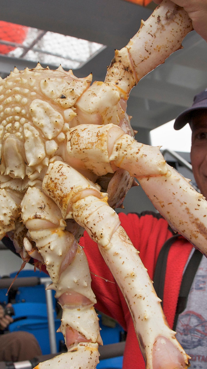 A Day in the Lives of Alaskan Fishermen