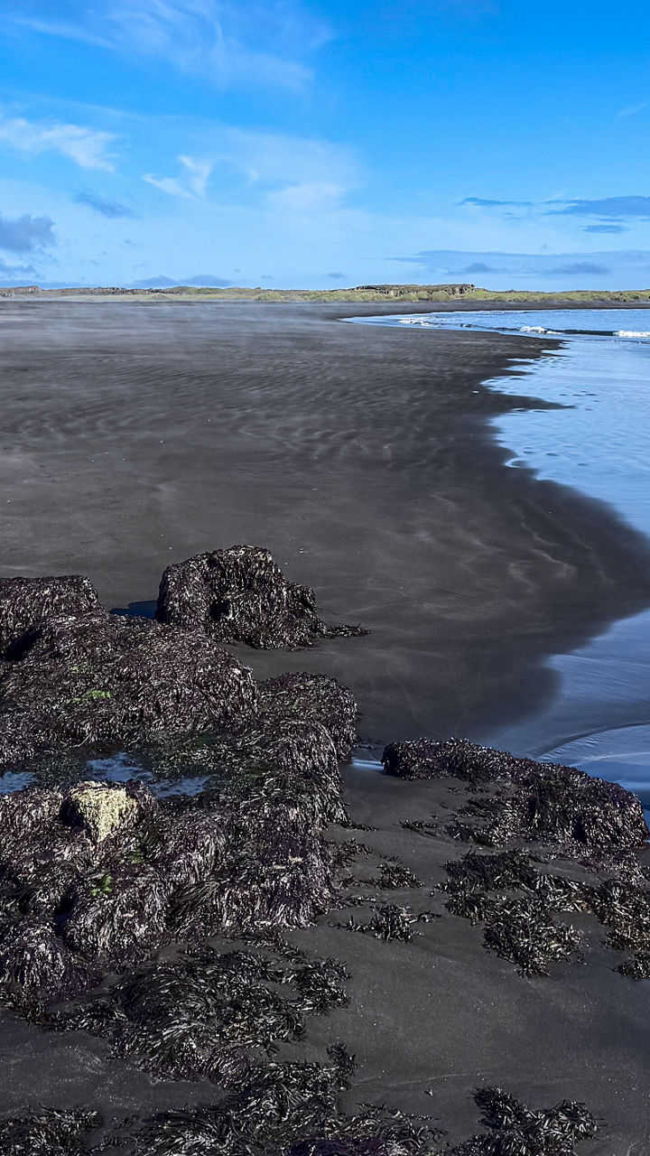 Iceland’s Black Beaches