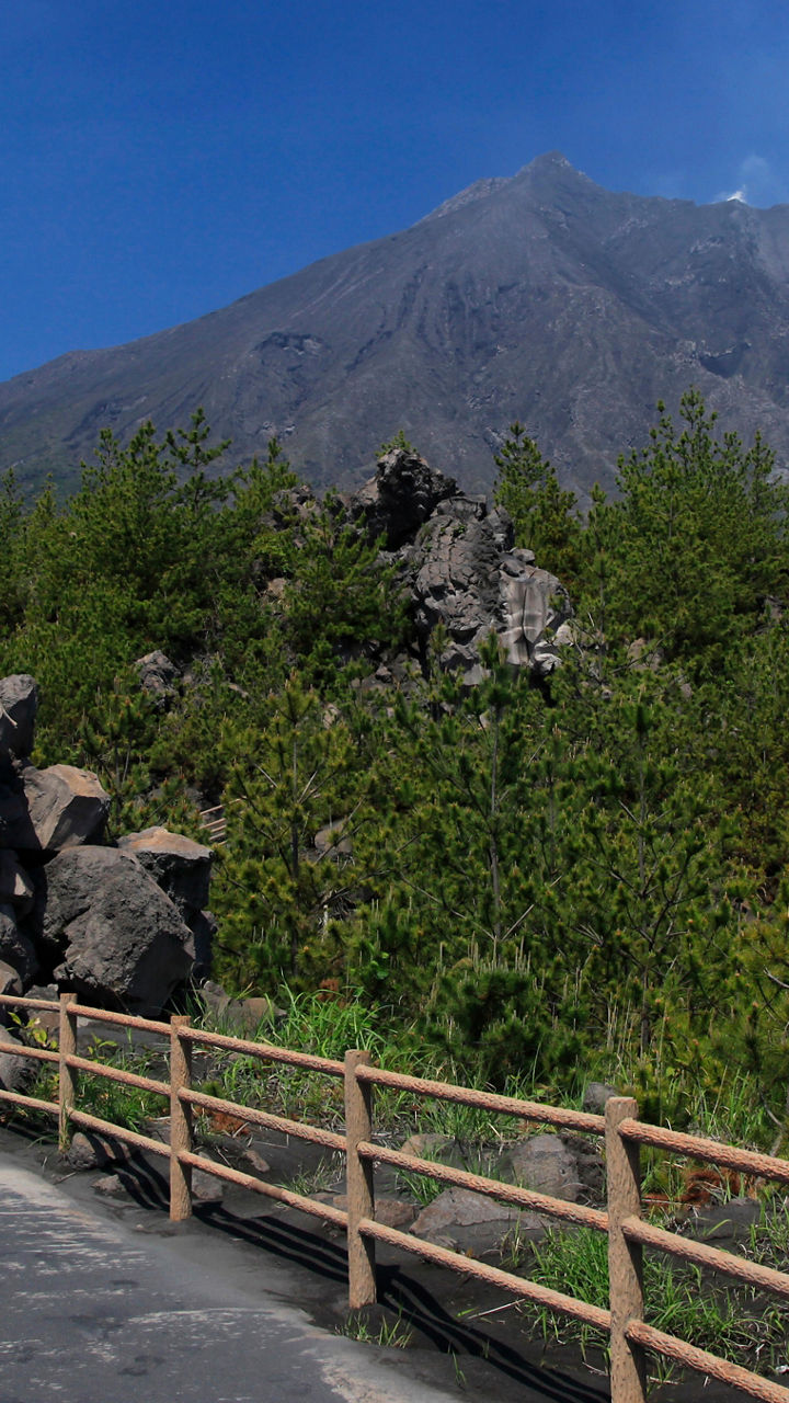 Sakurajima Volcano & Arimura Lava Observatory