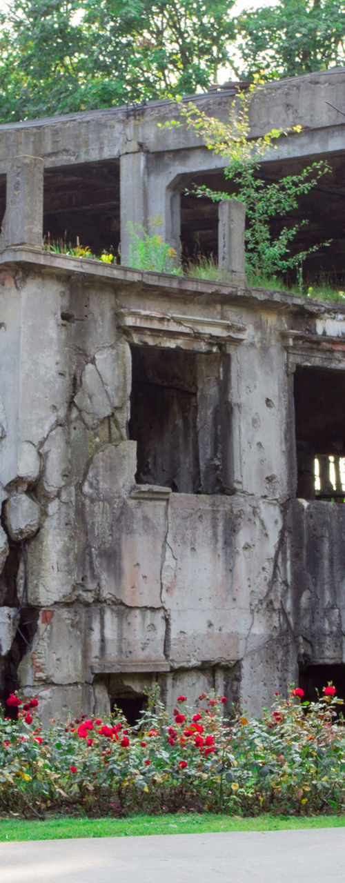 Ruined concrete structure surrounded by greenery