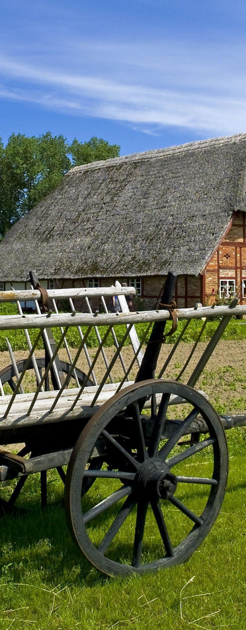 Vintage wooden carts in rural farm setting