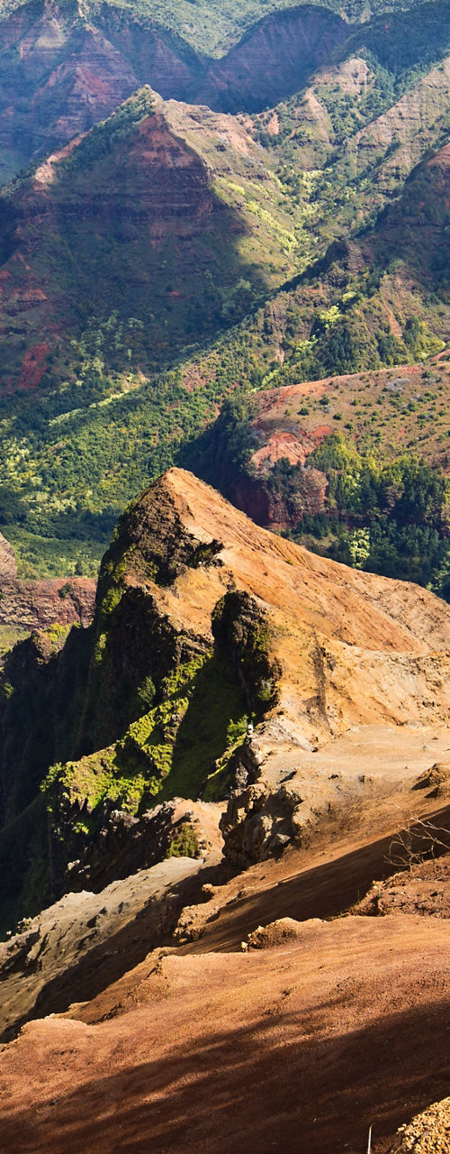 Scenic view of Waimea Canyon with visitors