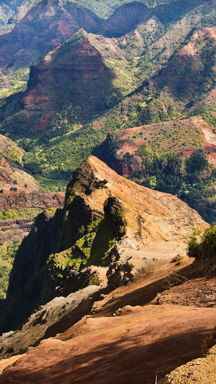 Scenic view of Waimea Canyon with visitors
