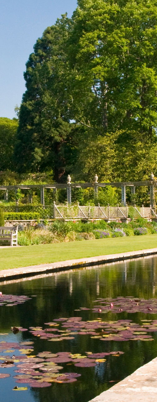 Elegant garden with lily pond and pavilion