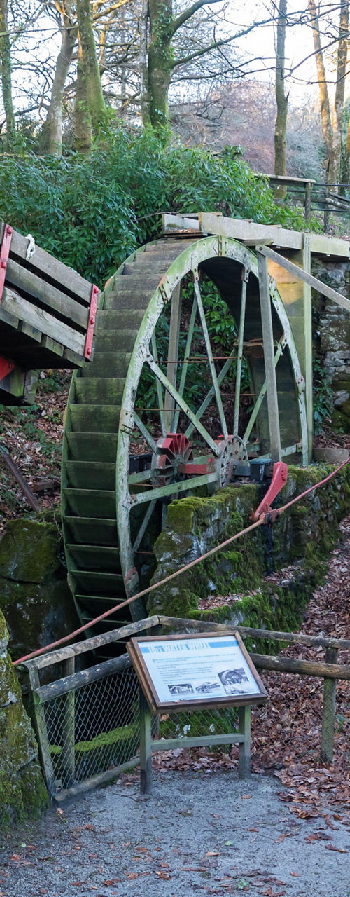 Historic watermill in forest setting