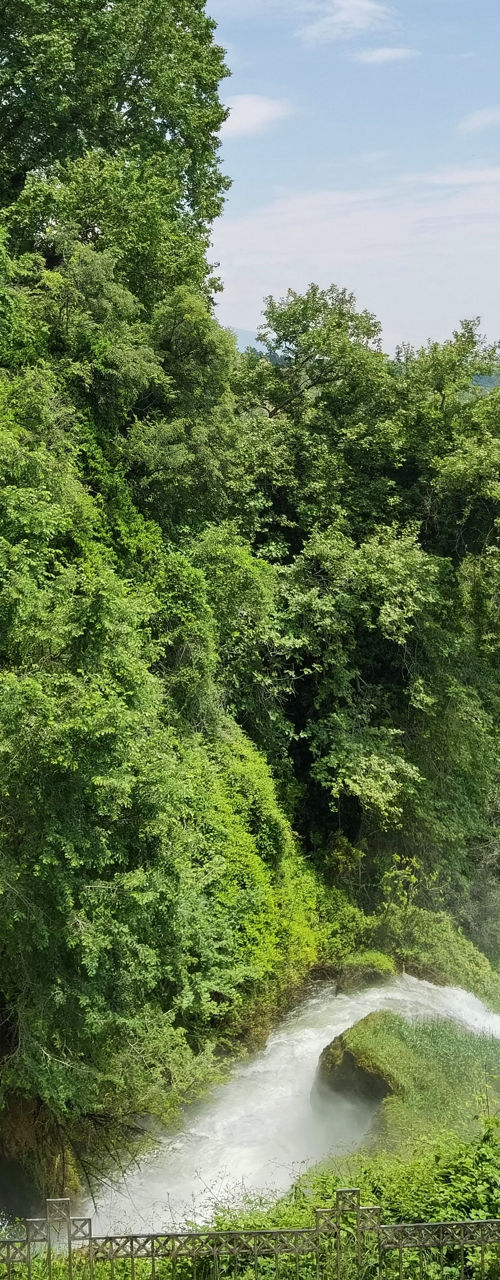Majestic waterfall cascading through lush forest