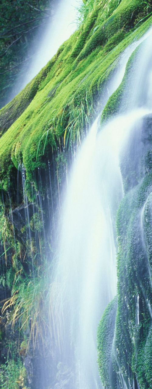 Lush waterfall cascading over mossy rocks