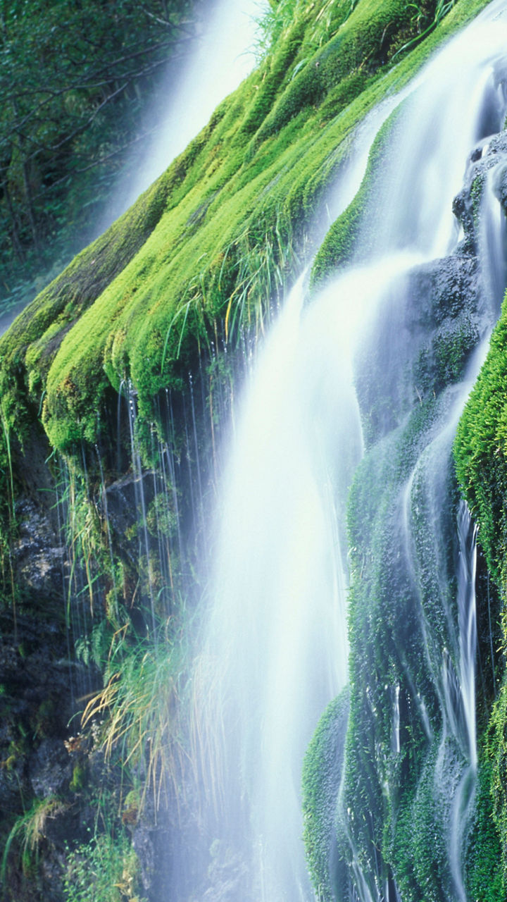 Lush waterfall cascading over mossy rocks