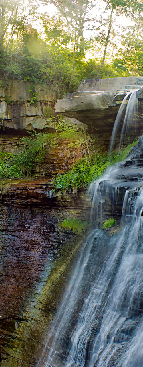 Serene waterfall in lush forest setting