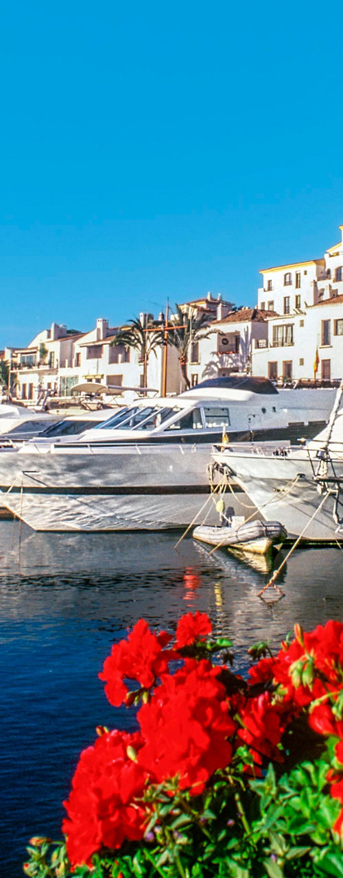Luxury yachts docked at scenic marina