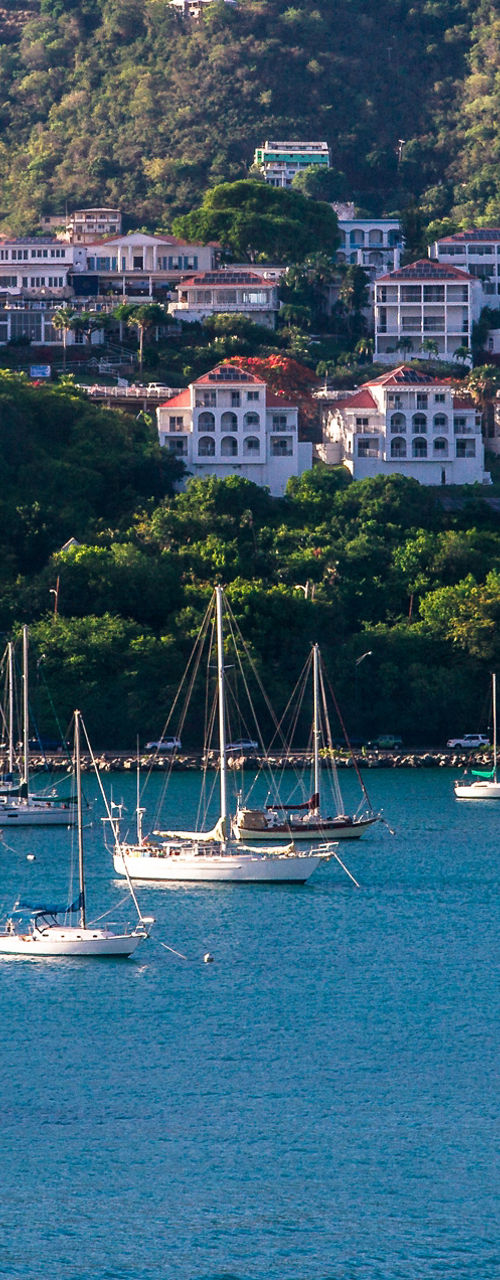 Scenic harbor with sailboats and hillside homes