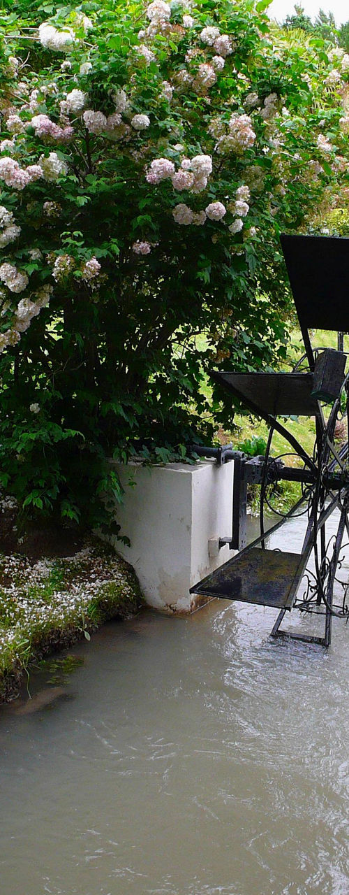 Serene garden with water stream and wheel