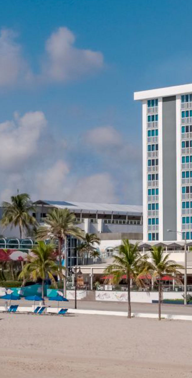 Beachfront hotel with palm trees and loungers
