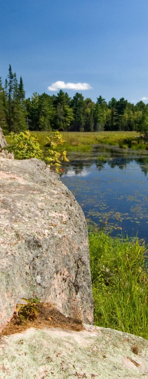 Scenic forest pond with rocky foreground