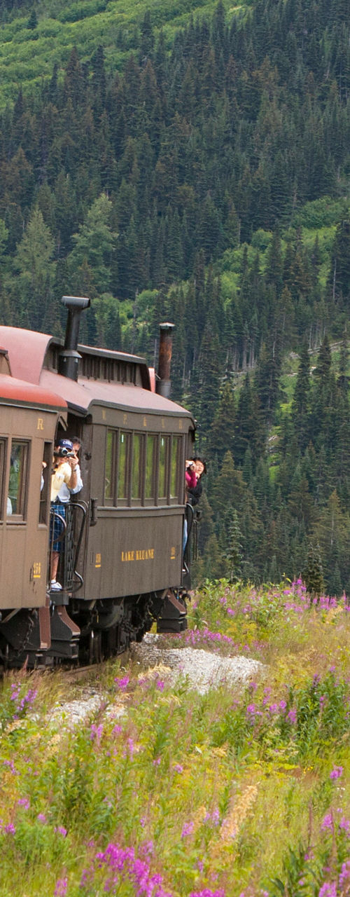 Scenic train ride through lush mountains